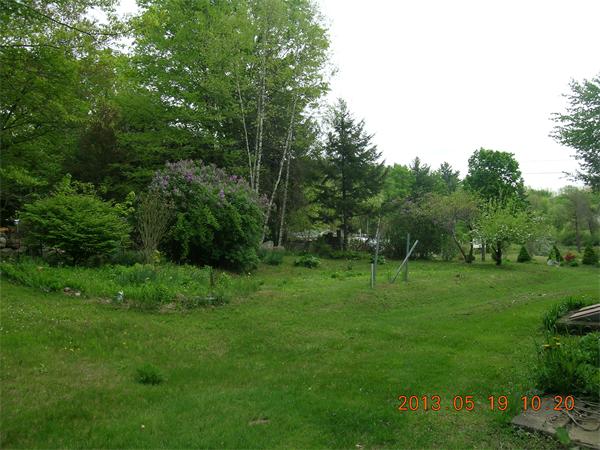 122 Pond Brook Road Huntington, MA 01050 - Photo 3 of 19 a view of grassy field with trees