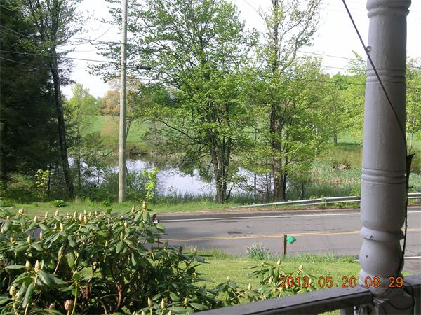 122 Pond Brook Road Huntington, MA 01050 - Photo 5 of 19 a view of a back yard from a garden
