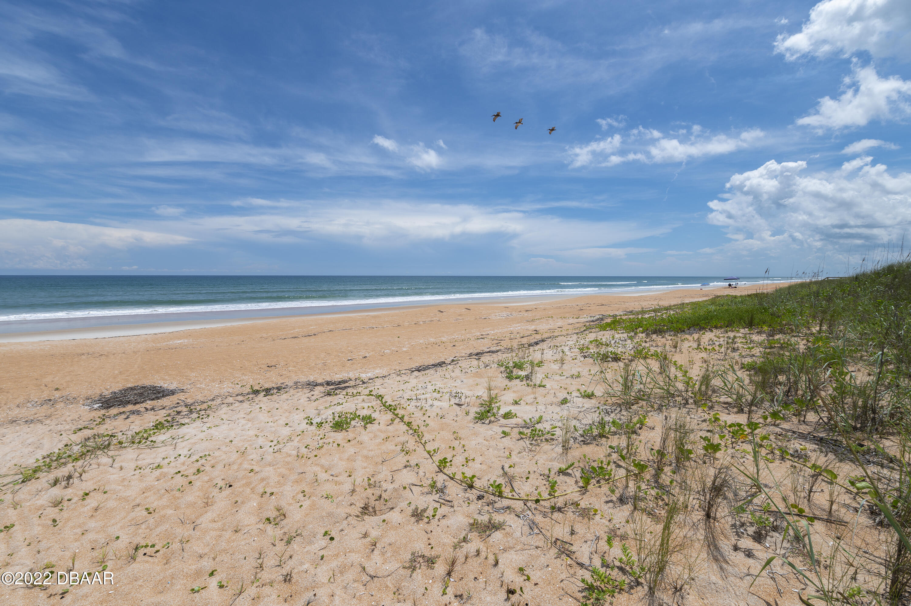 103 Peninsula Winds Drive Ormond Beach, FL 32176 - Photo 34 of 59 JK_103PeninsulaWinds__45 copy