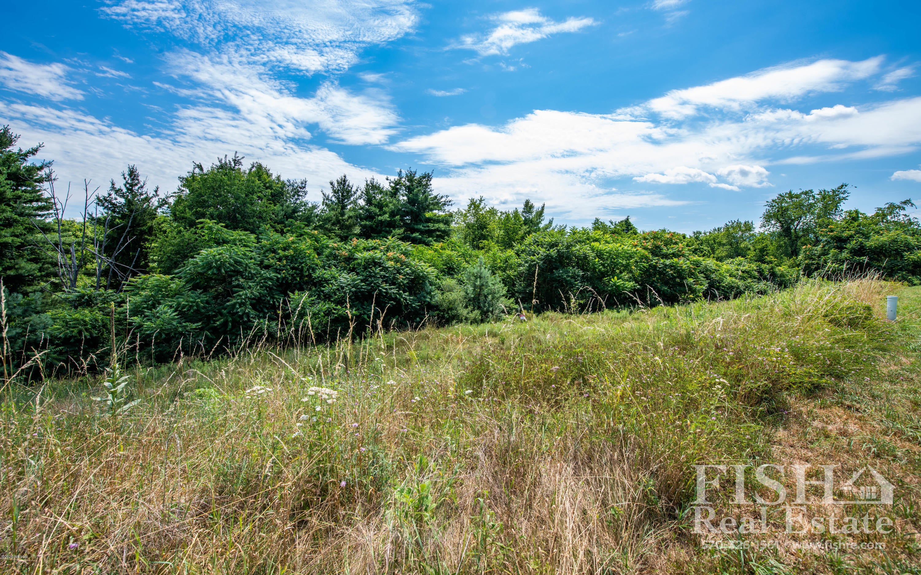 45 Ridge Crest Circle Williamsport, PA 17701 - Photo 4 of 4 Gallery Image 4