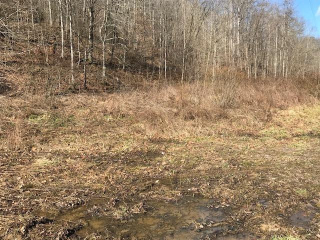 500 Daniel Morrison Road Frenchburg, KY 40322 - Photo 4 of 17 Photo 4