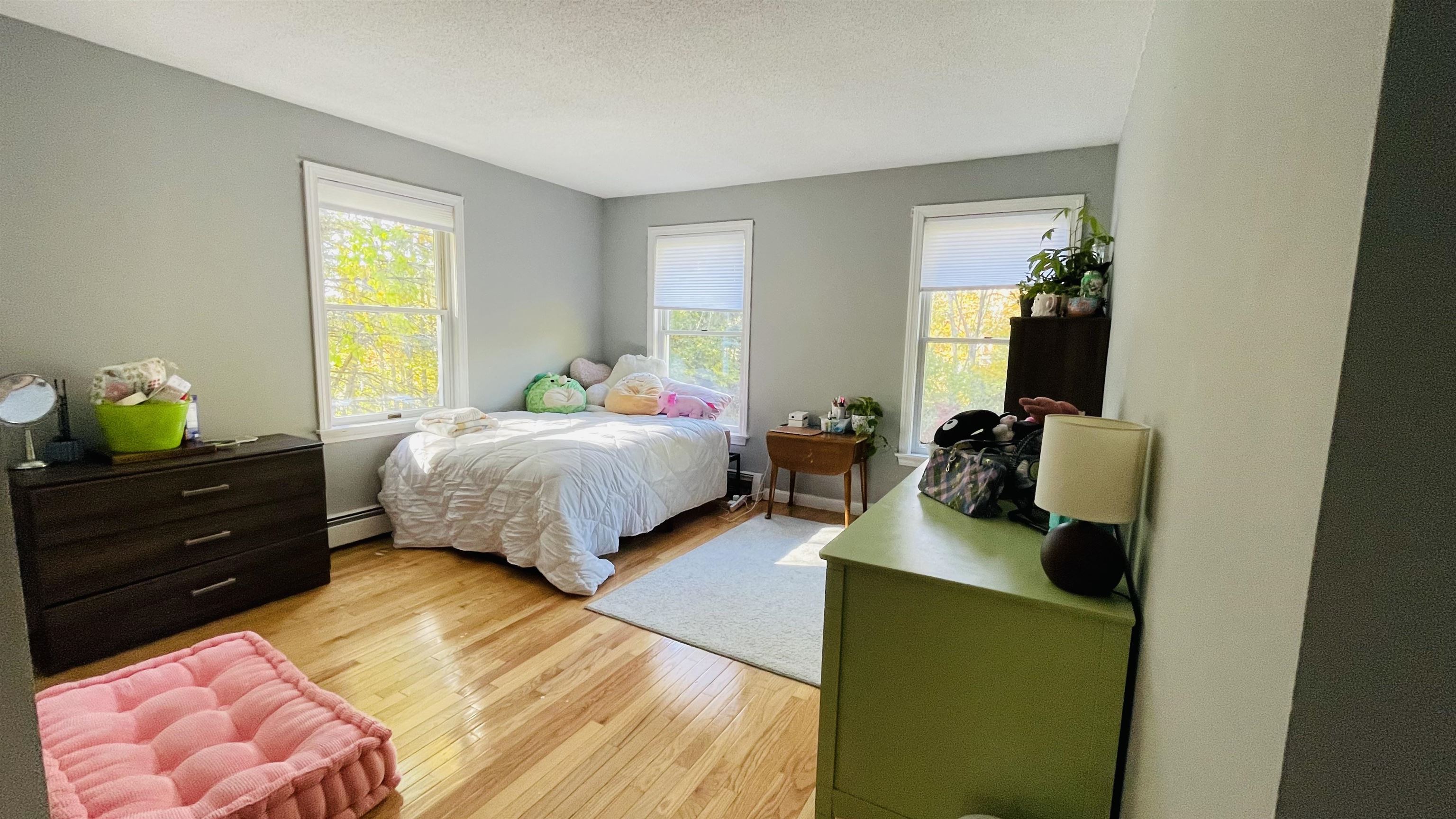 219 Range Road Windham, NH 03087 - Photo 18 of 22