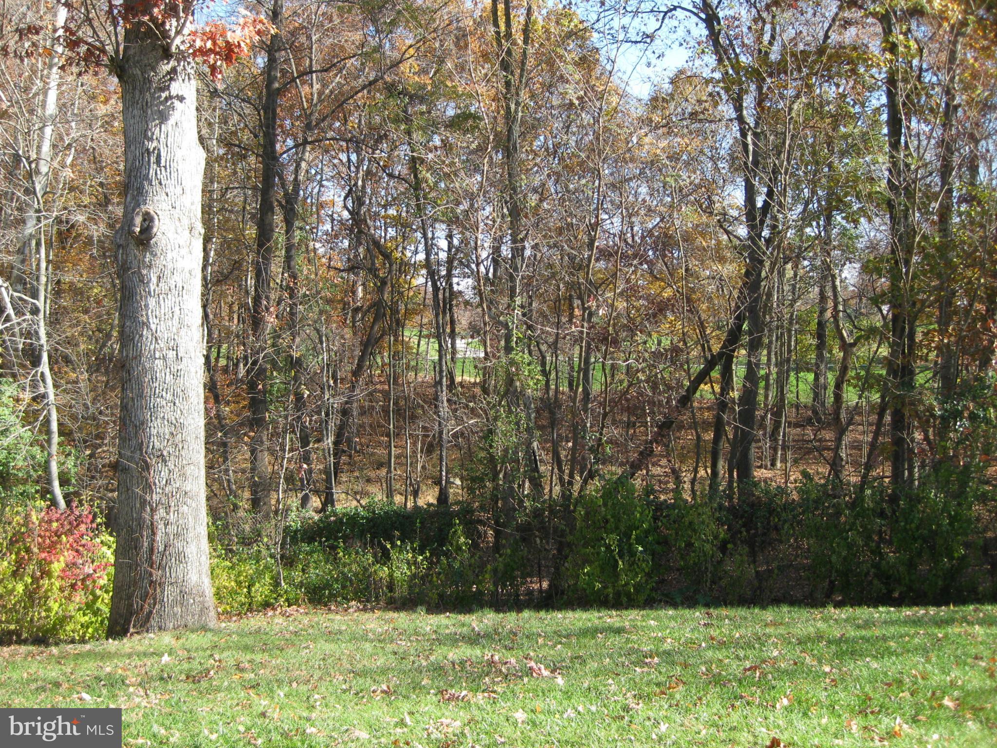 13209 Jasper Road Fairfax, VA 22033 - Photo 27 of 30 View