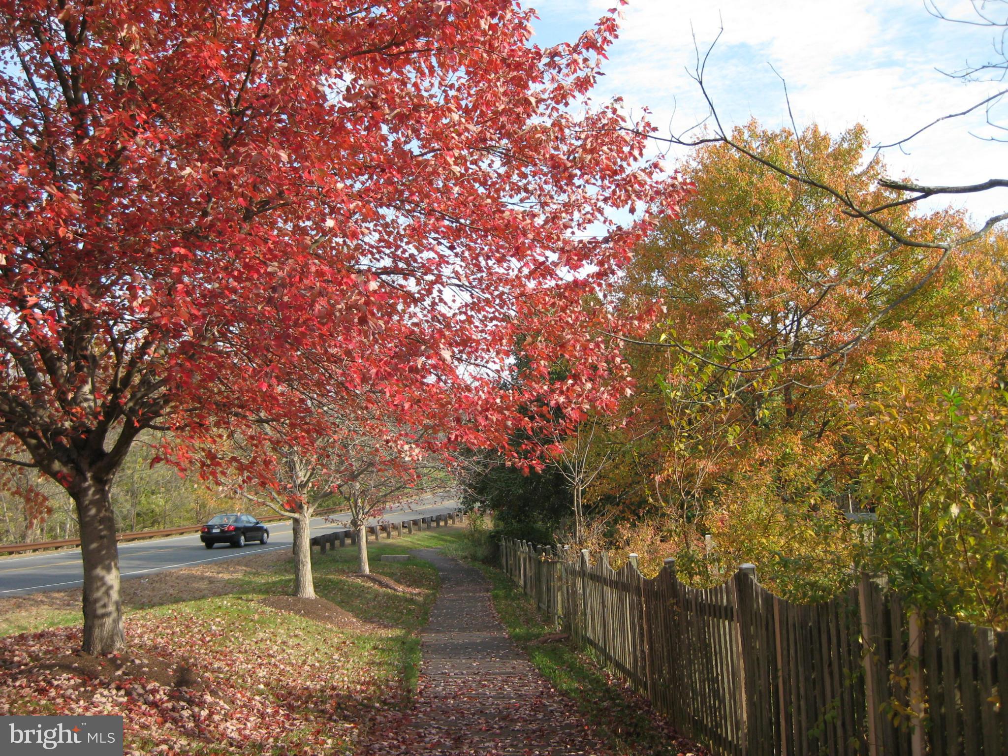 13209 Jasper Road Fairfax, VA 22033 - Photo 29 of 30 Walking/Biking Trail