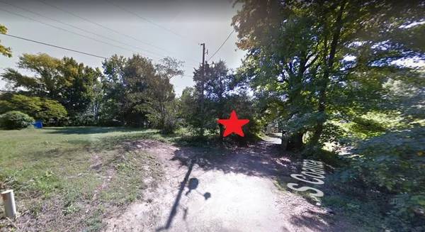 a view of a yard with a tree in a yard