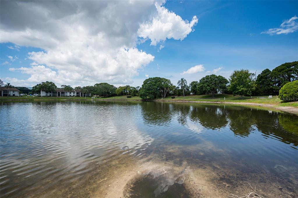 1870 Pine Ridge Way West, Unit G1 Palm Harbor, FL 34684 - Photo 5 of 77