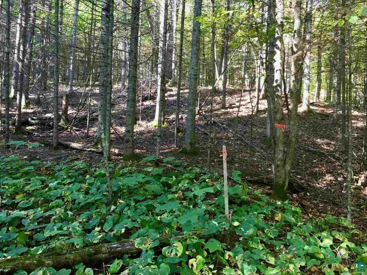 Two Lindgren Road Two Harbors, MN 55616 - Photo 3 of 5