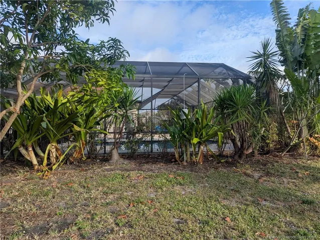 a view of a backyard with plants