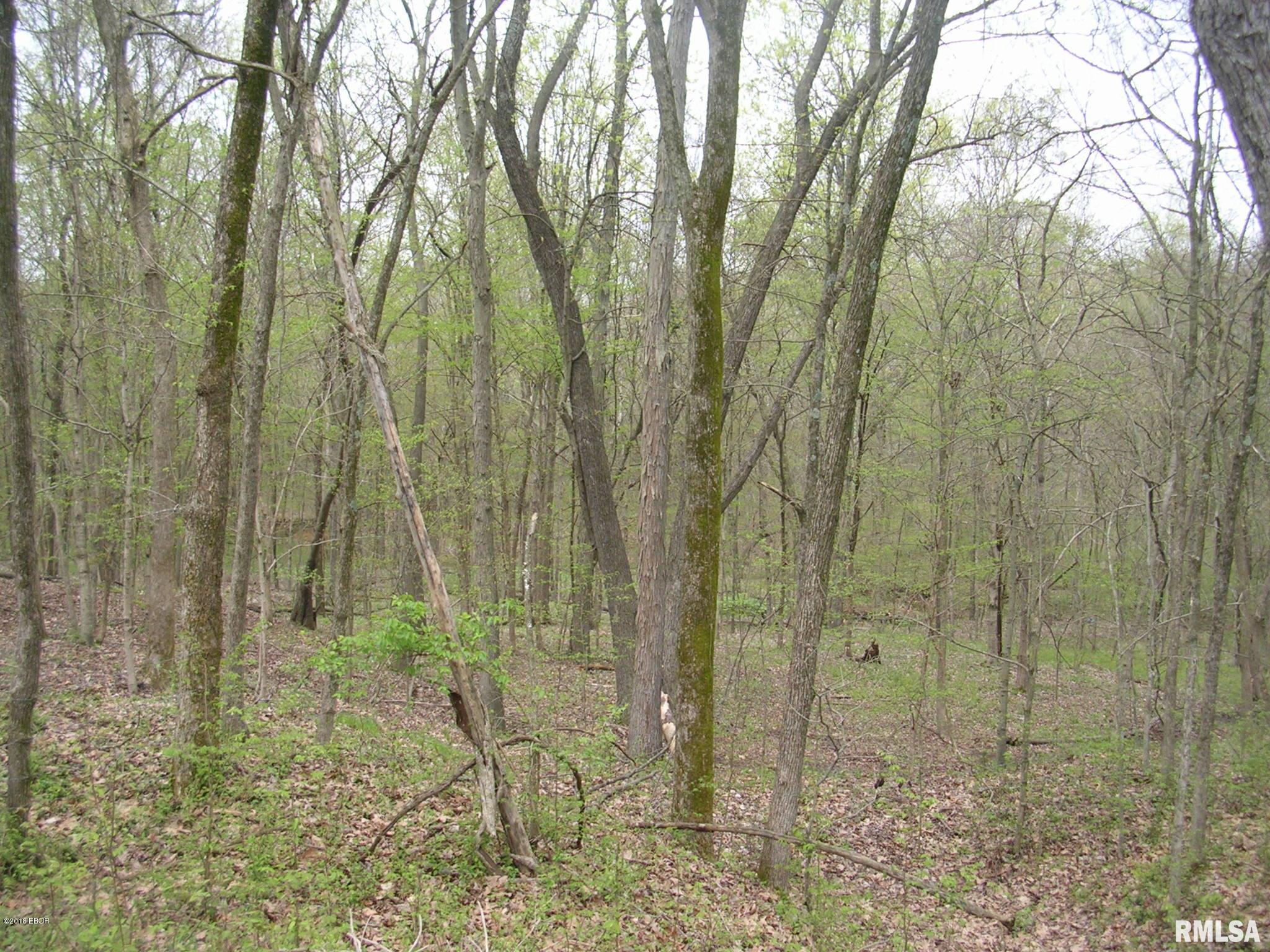 360 Jenkins Road Vienna, IL 62995 - Photo 9 of 17
