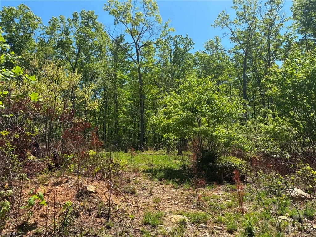 Tbd Raven Ridge Trail Dobson, NC 27017 - Photo 13 of 17 Gallery Image 13