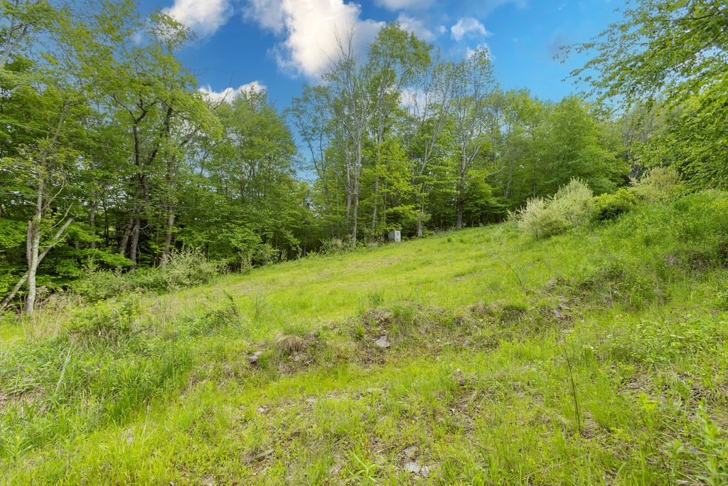 1361 Weaver Hollow Road Andes, NY 12455 - Photo 22 of 23