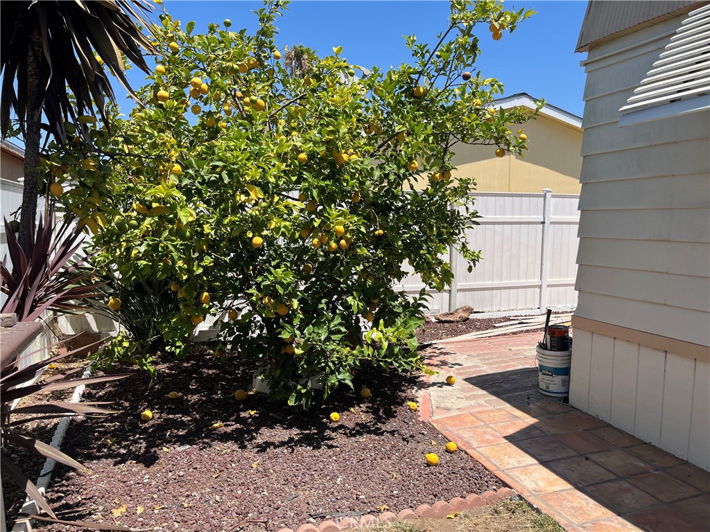 17700 Avalon Boulevard, Unit 40 Carson, CA 90746 - Photo 31 of 32 a view of a yard with plants and large trees