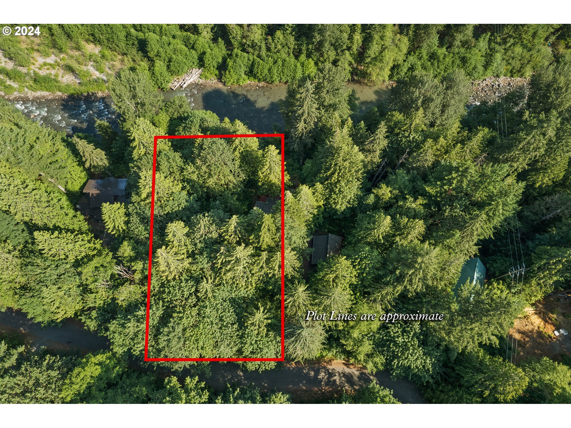 East Vine Maple Drive Rhododendron, OR 97049 - Photo 1 of 18 a view of a lot of flowers and trees