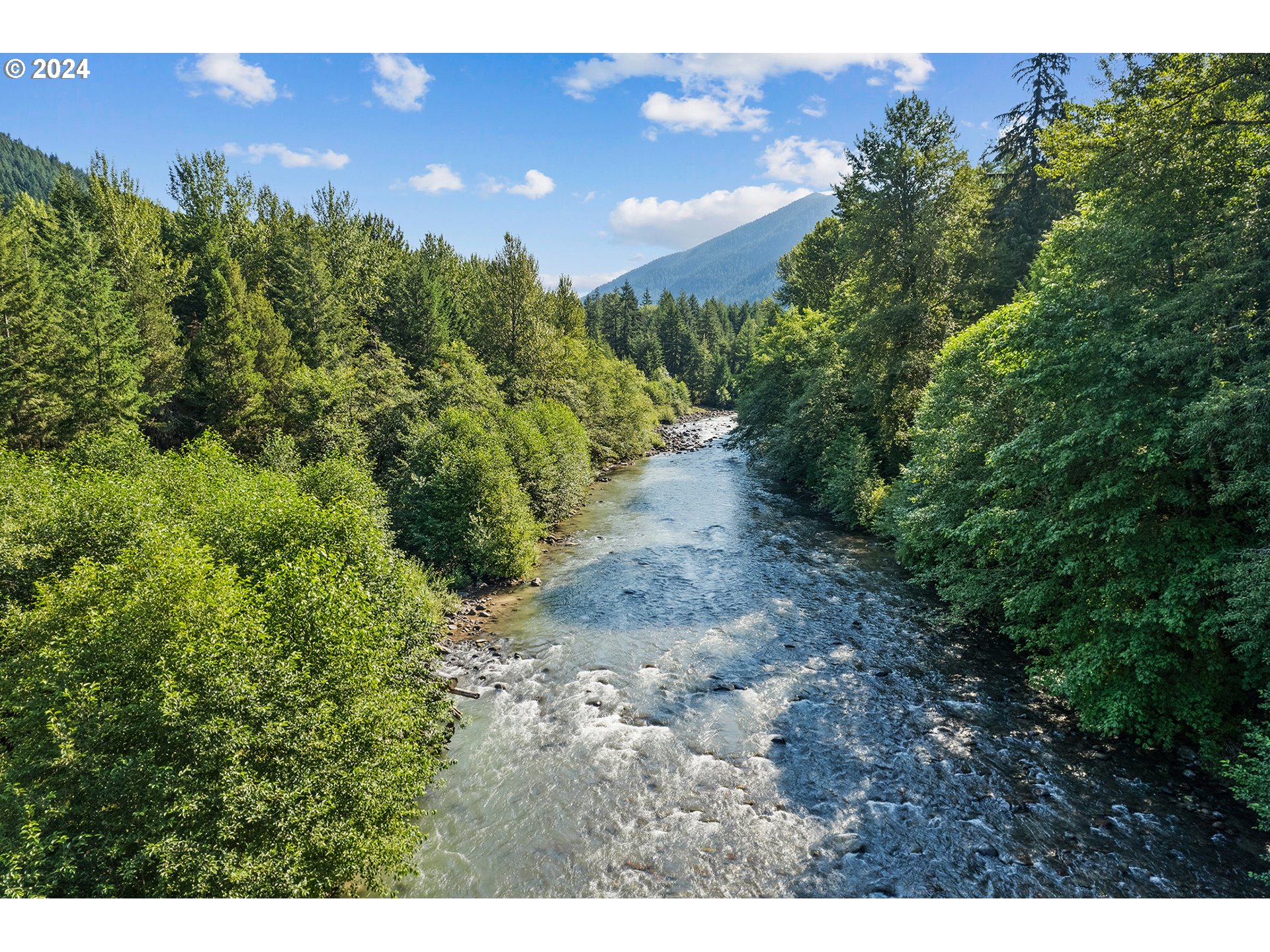East Vine Maple Drive Rhododendron, OR 97049 - Photo 12 of 18 a view of a yard with a tree