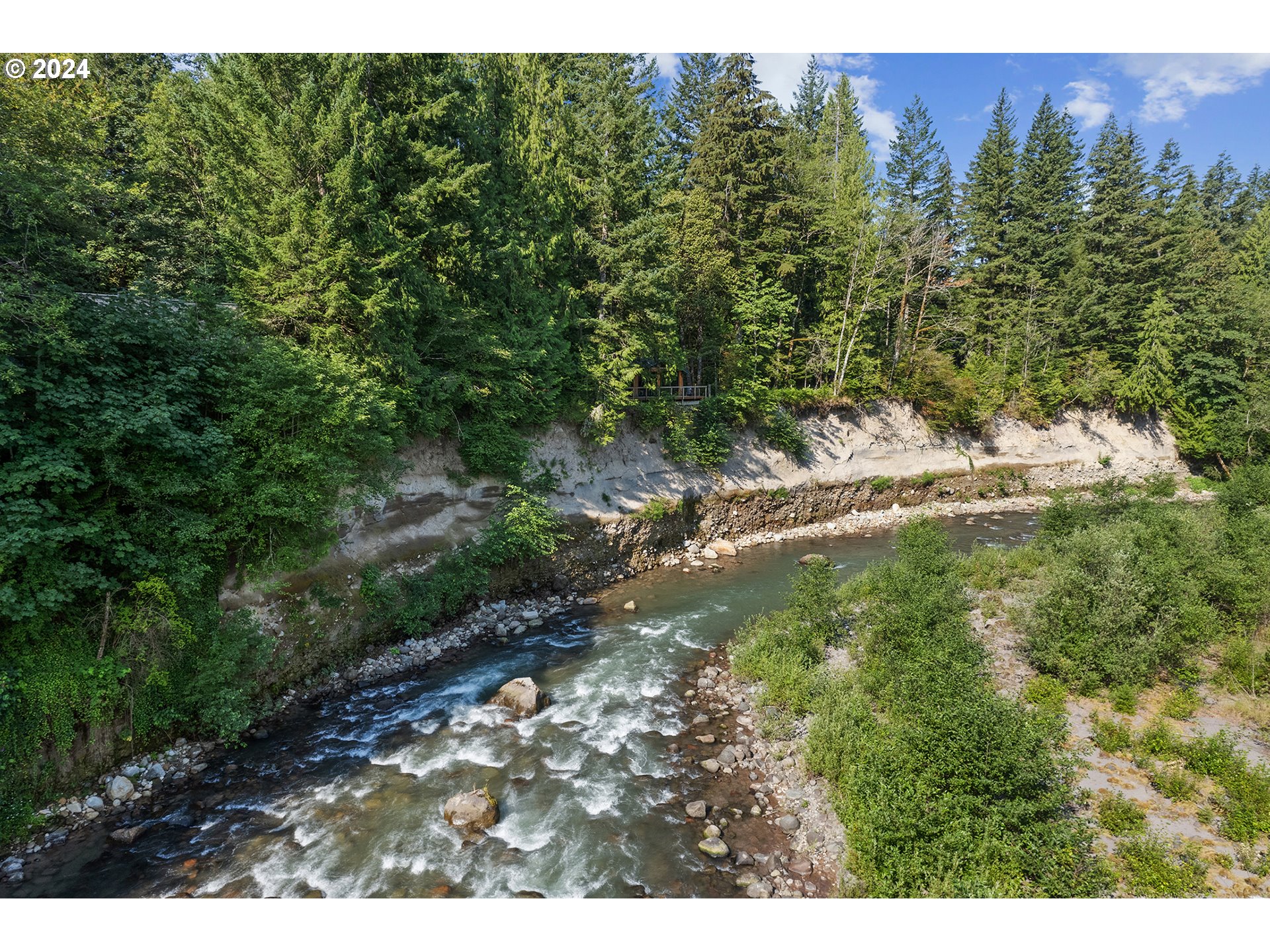 East Vine Maple Drive Rhododendron, OR 97049 - Photo 15 of 18 a view of a yard with a tree
