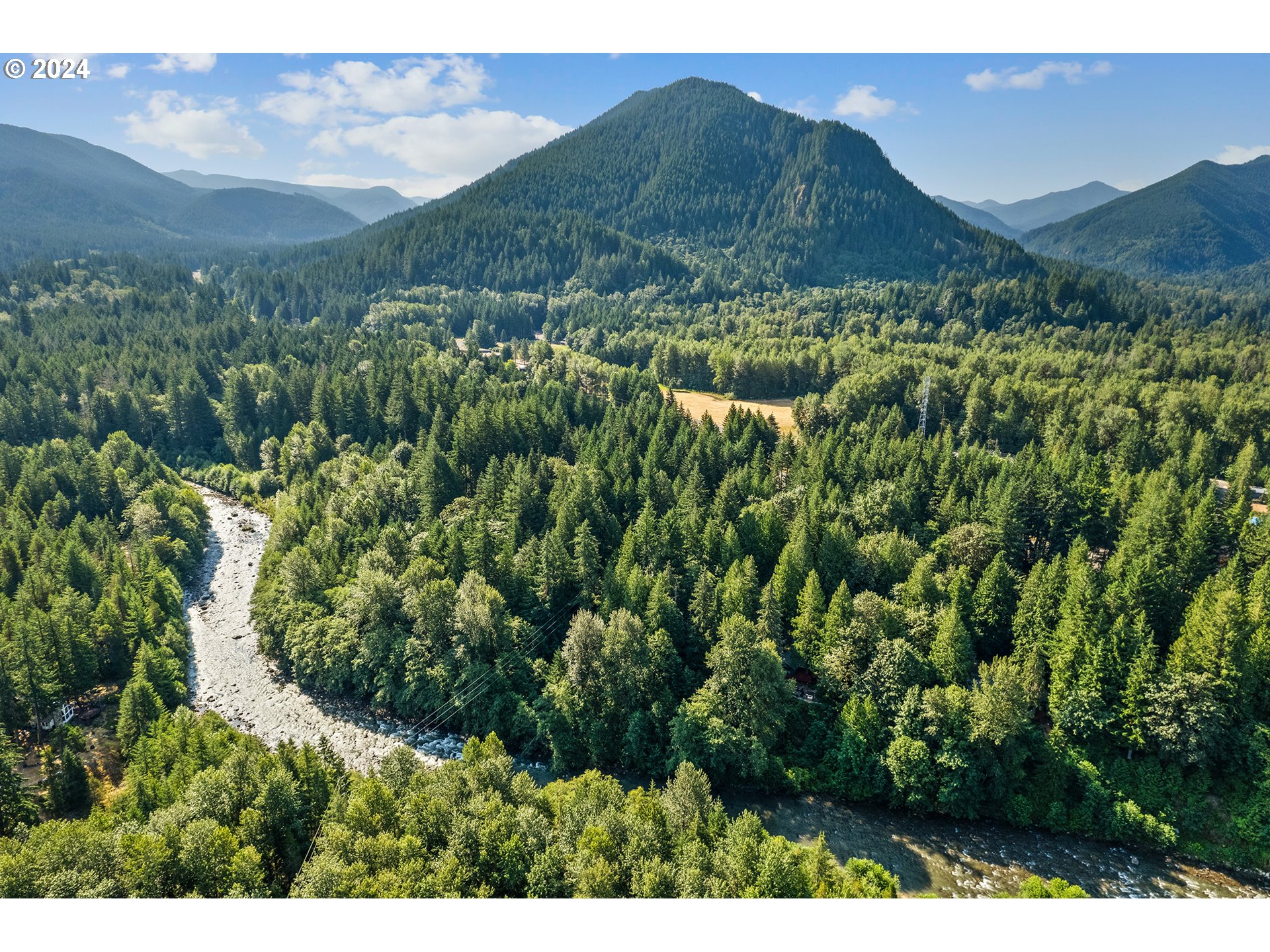 East Vine Maple Drive Rhododendron, OR 97049 - Photo 16 of 18 a view of a lush green field with a tree in the background