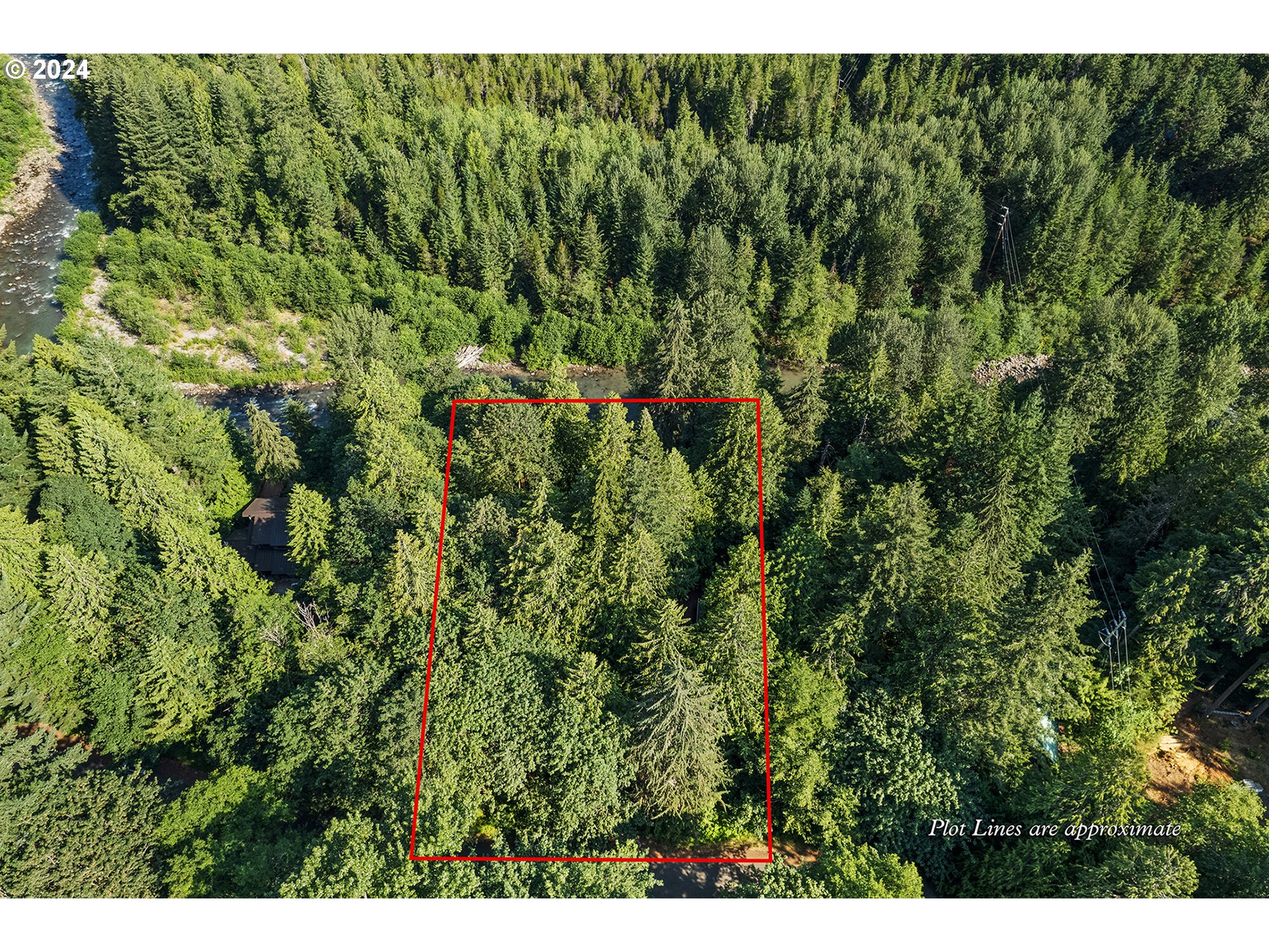 East Vine Maple Drive Rhododendron, OR 97049 - Photo 2 of 18 a view of a forest with a street