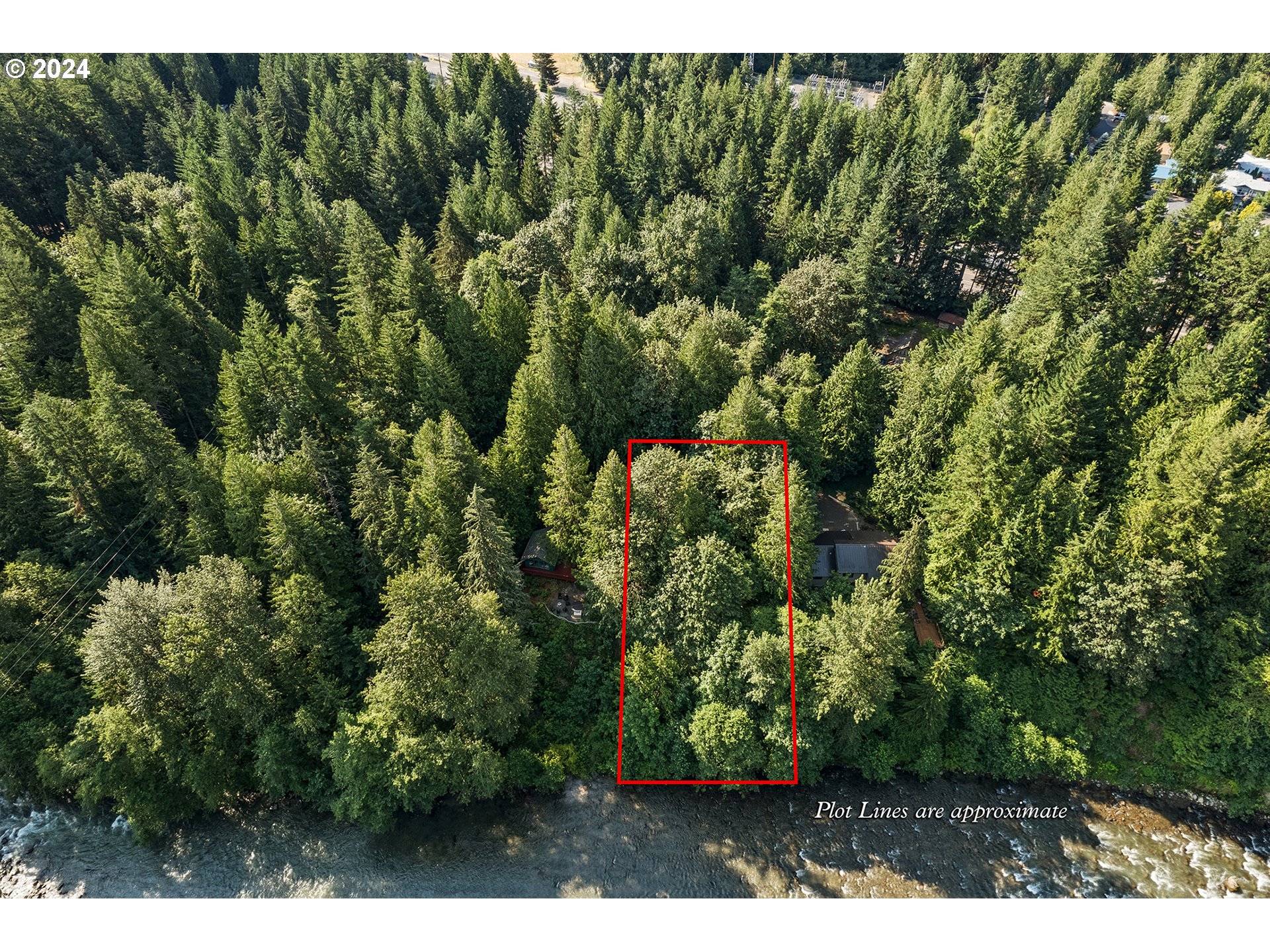 East Vine Maple Drive Rhododendron, OR 97049 - Photo 3 of 18 a view of a yard with plants