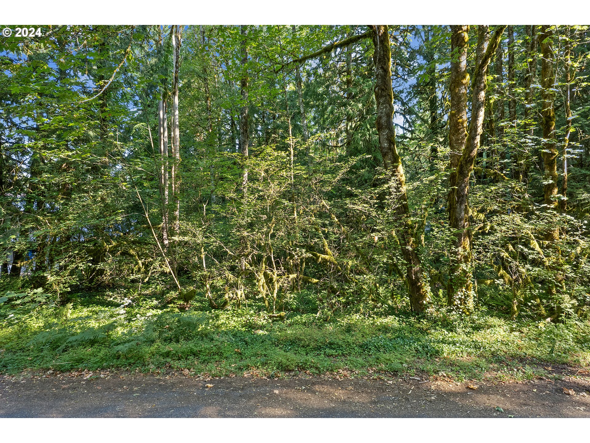 East Vine Maple Drive Rhododendron, OR 97049 - Photo 5 of 18 a view of a yard