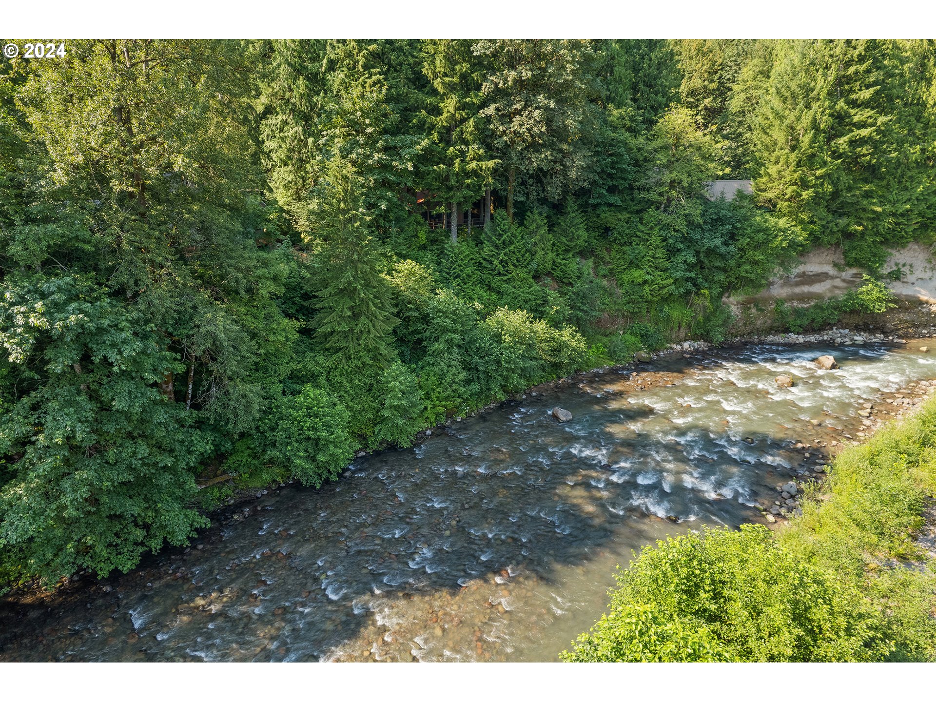 East Vine Maple Drive Rhododendron, OR 97049 - Photo 6 of 18 a view of a yard with a tree