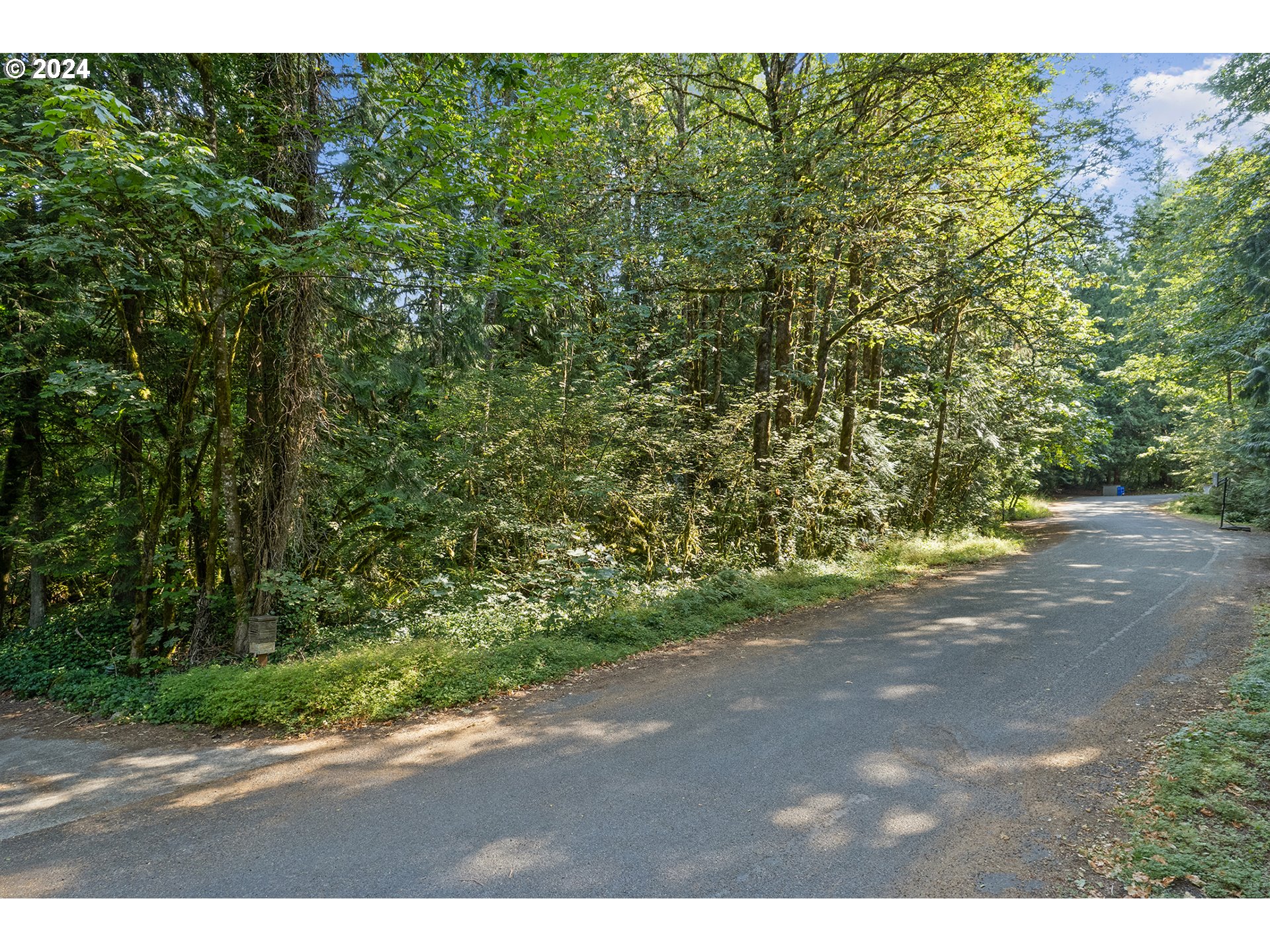 East Vine Maple Drive Rhododendron, OR 97049 - Photo 7 of 18 a view of a yard with a tree