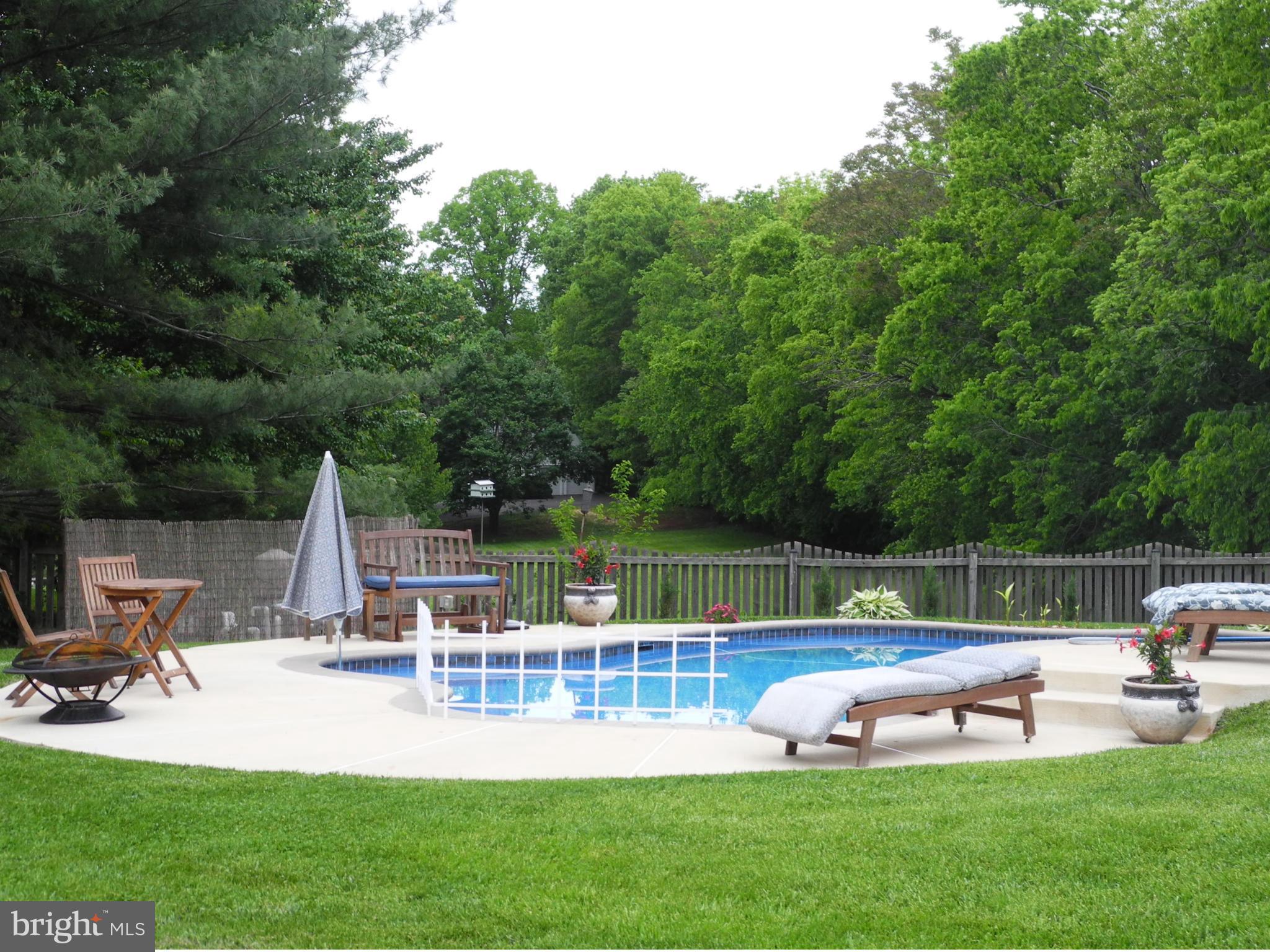 19249 Stallion Road Culpeper, VA 22701 - Photo 29 of 30 Pool Area