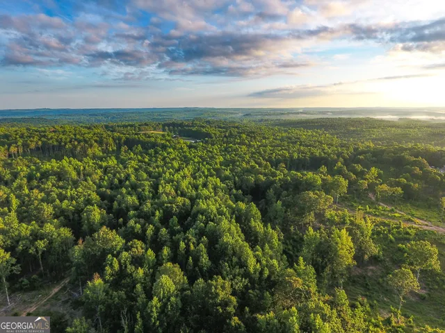 $349,000 | 0 Roy Dean Road, Buchanan, GA 30113