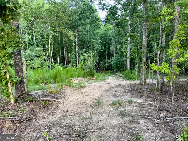 $349,000 | 0 Roy Dean Road, Buchanan, GA 30113