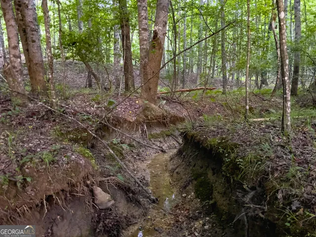 $349,000 | 0 Roy Dean Road, Buchanan, GA 30113