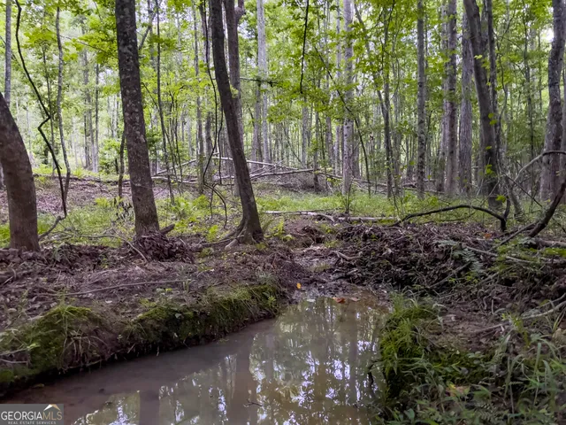 $349,000 | 0 Roy Dean Road, Buchanan, GA 30113