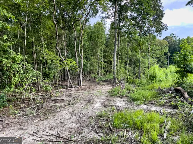 $349,000 | 0 Roy Dean Road, Buchanan, GA 30113