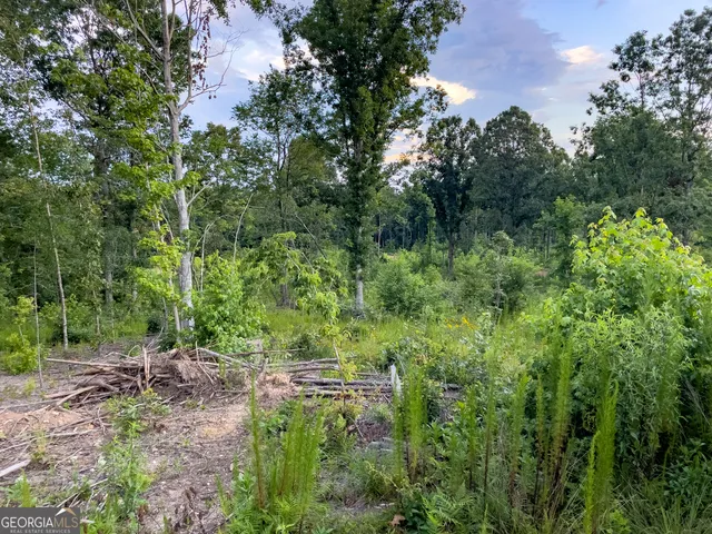 $349,000 | 0 Roy Dean Road, Buchanan, GA 30113