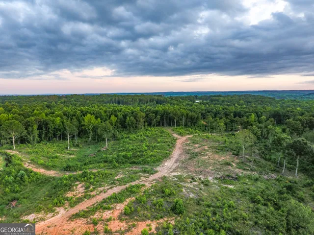 $349,000 | 0 Roy Dean Road, Buchanan, GA 30113