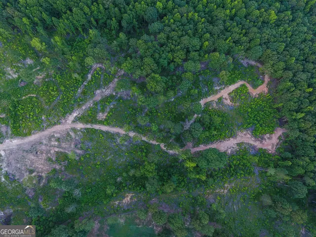 $349,000 | 0 Roy Dean Road, Buchanan, GA 30113