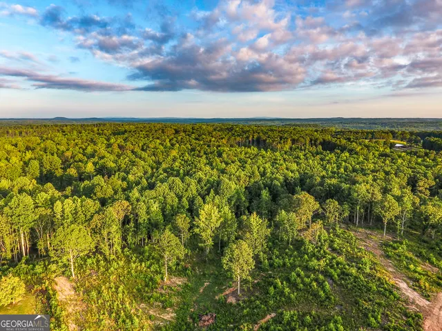 $349,000 | 0 Roy Dean Road, Buchanan, GA 30113