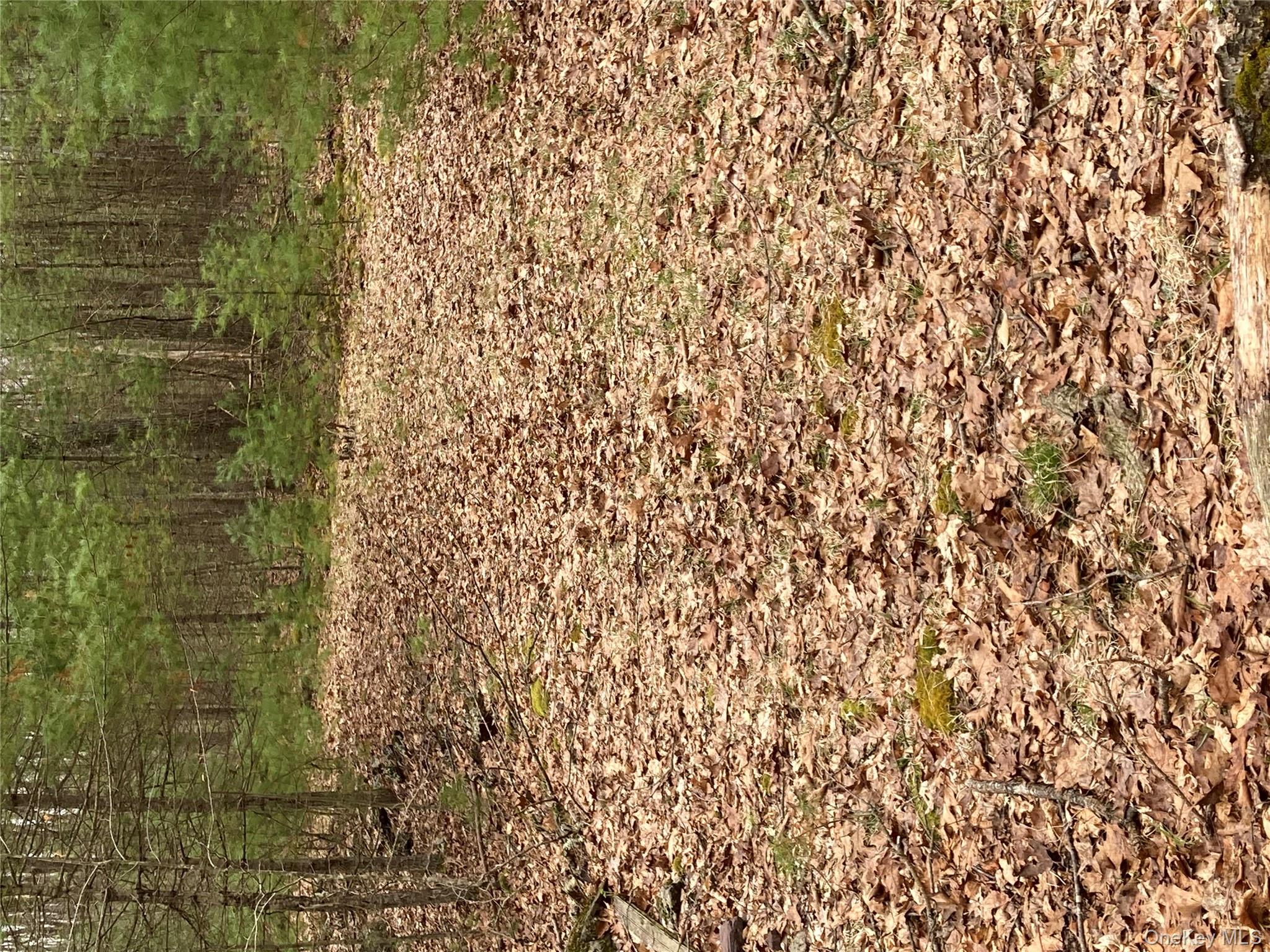 Plank Road Forestburgh, NY 12777 - Photo 11 of 14 View of landscape with a forest view