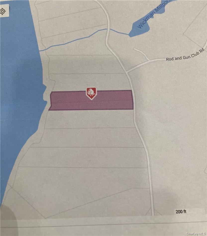 Plank Road Forestburgh, NY 12777 - Photo 4 of 14