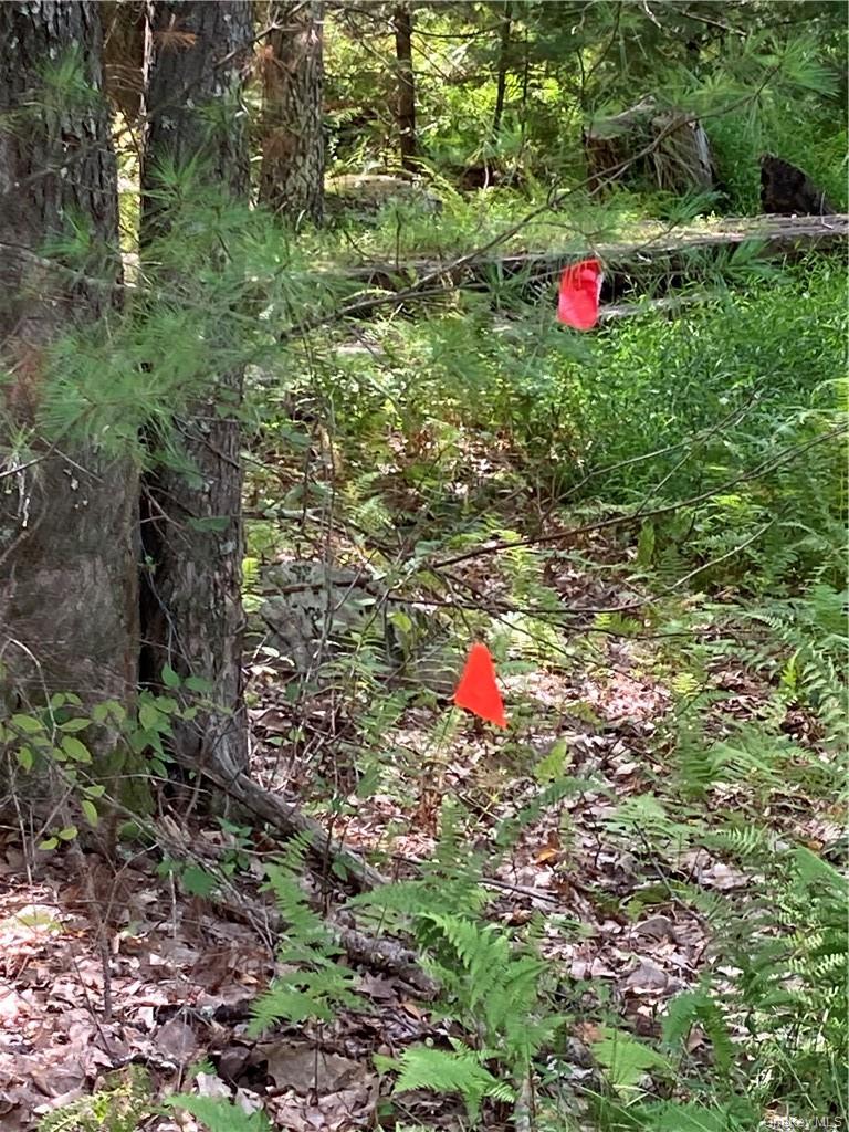 Plank Road Forestburgh, NY 12777 - Photo 6 of 14