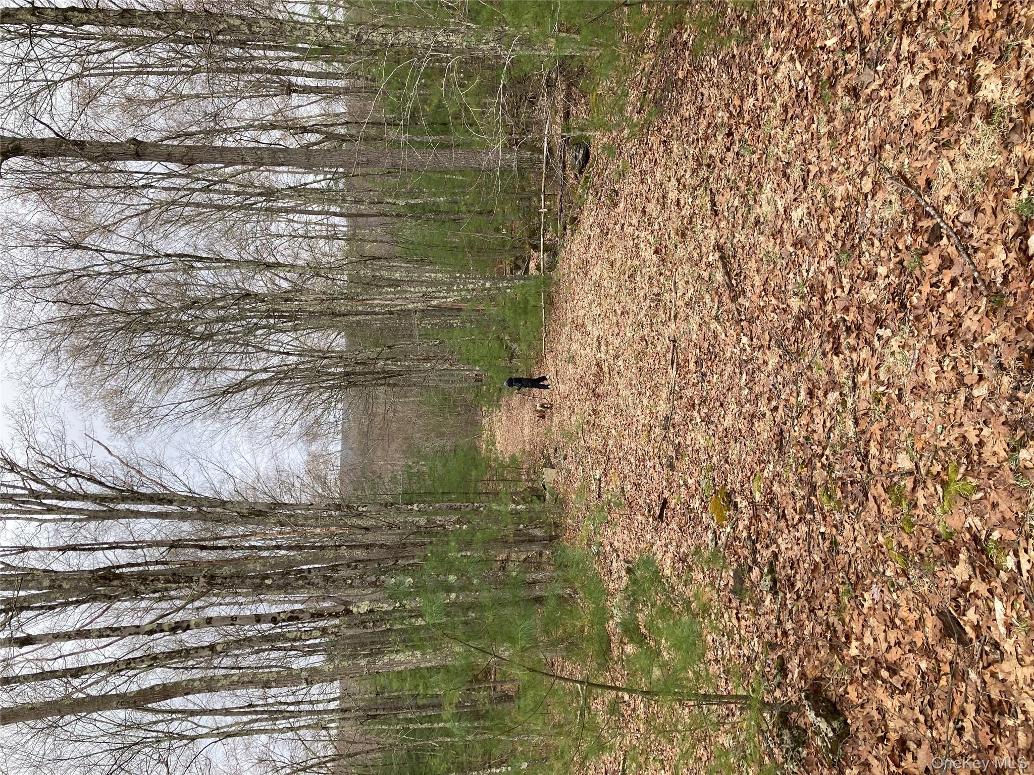 Plank Road Forestburgh, NY 12777 - Photo 8 of 14 View of landscape