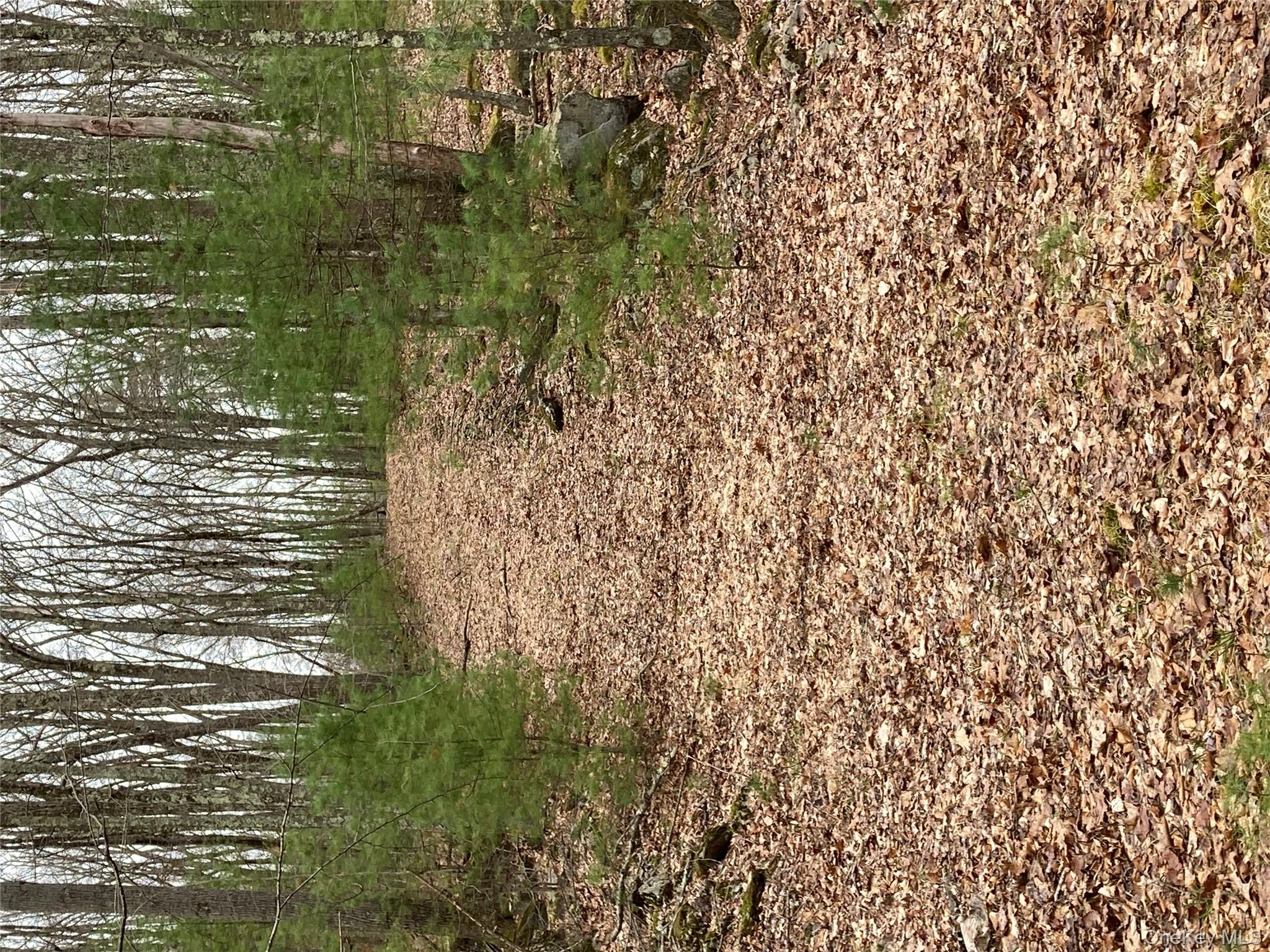 Plank Road Forestburgh, NY 12777 - Photo 10 of 14 View of landscape