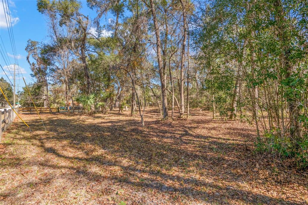 5432 Neff Lake Road Brooksville, FL 34601 - Photo 5 of 83