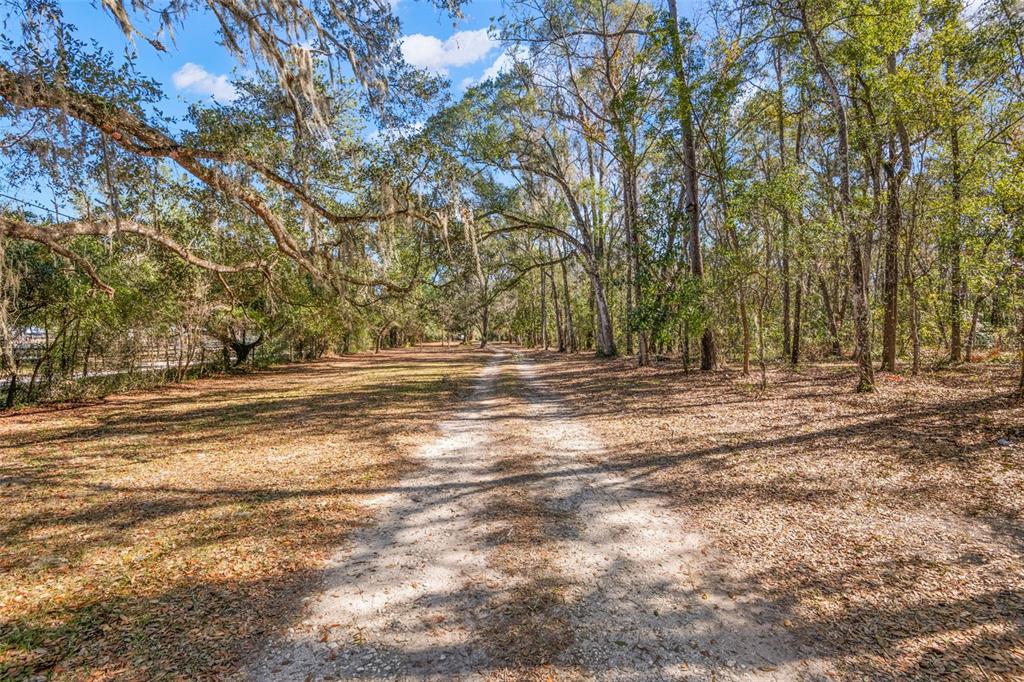 5432 Neff Lake Road Brooksville, FL 34601 - Photo 6 of 83
