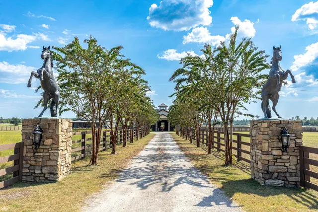 a view of a big room with wooden floor