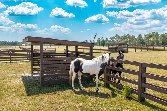 $2,890,000 | 1619 Buddy Mcgill Trail, Ponce de Leon, FL 32455