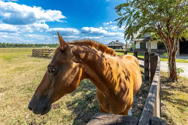 $2,890,000 | 1619 Buddy Mcgill Trail, Ponce de Leon, FL 32455