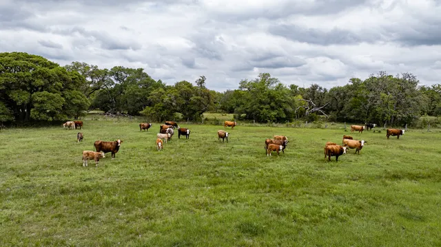 $5,275,000 | 3814 County Road 19, Hallettsville, TX 77964