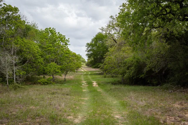 $5,275,000 | 3814 County Road 19, Hallettsville, TX 77964