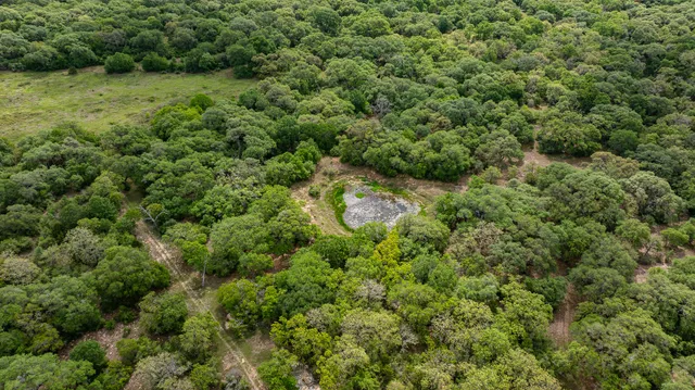 $5,275,000 | 3814 County Road 19, Hallettsville, TX 77964