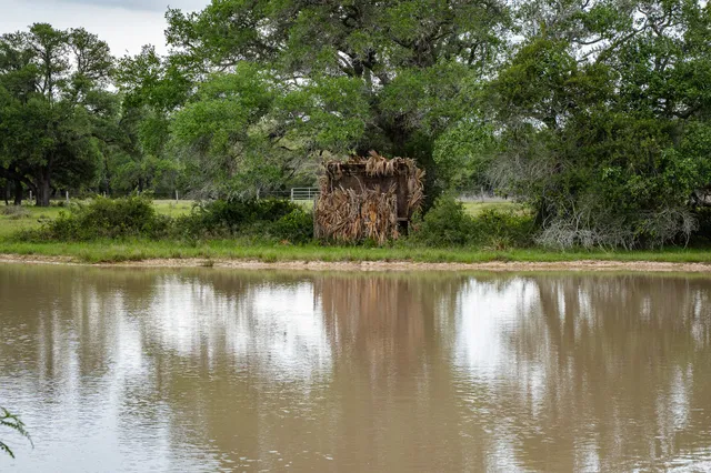 $5,275,000 | 3814 County Road 19, Hallettsville, TX 77964