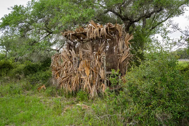 $5,275,000 | 3814 County Road 19, Hallettsville, TX 77964